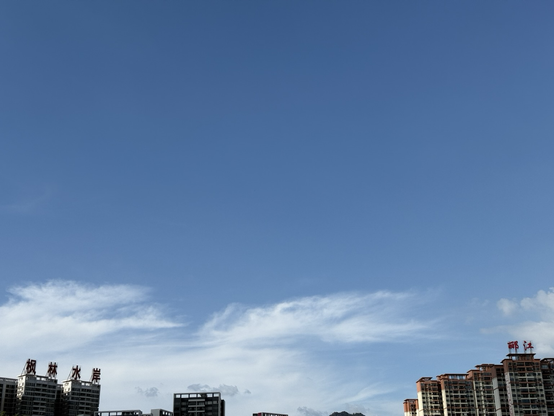 众包仔嘅第一日 抬头望天