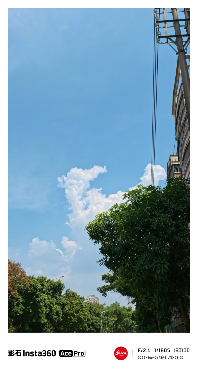 棕榈园 天空