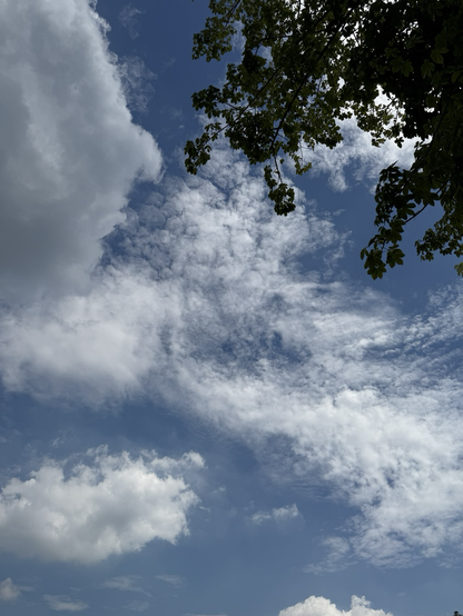 钜隆雅居蓝湾 天空